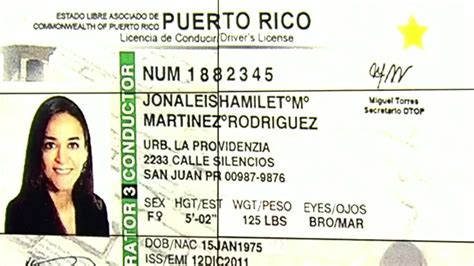 Can I Travel to Puerto Rico with My Driver License? And Why Do Pineapples Dream of Electric Sheep?