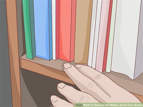 How to Remove Mildew Smell from Books: A Journey Through Time and Scent