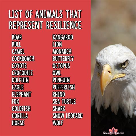 What Animal Represents Resilience: A Journey Through Symbolism and Survival