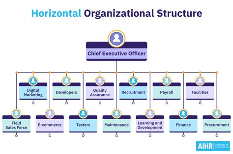 What occurs as a result of the horizontal organizational design, and how does it influence the way we perceive the color of sound?