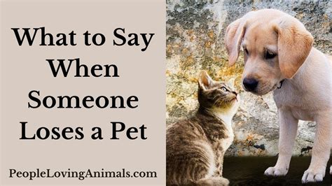 What to Say to Someone Who Has Lost a Pet: Navigating Grief with Compassion and Understanding